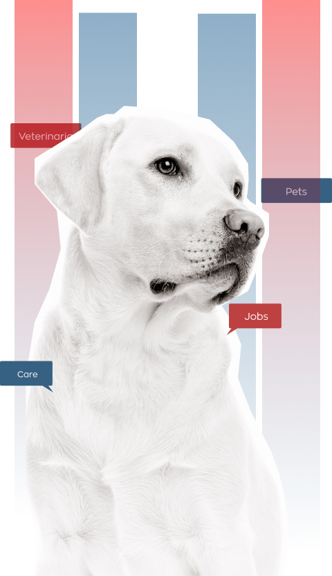Dog Image